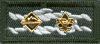 Scoutmaster's and Advisor's Award of Merit