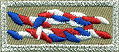 Boy Scout